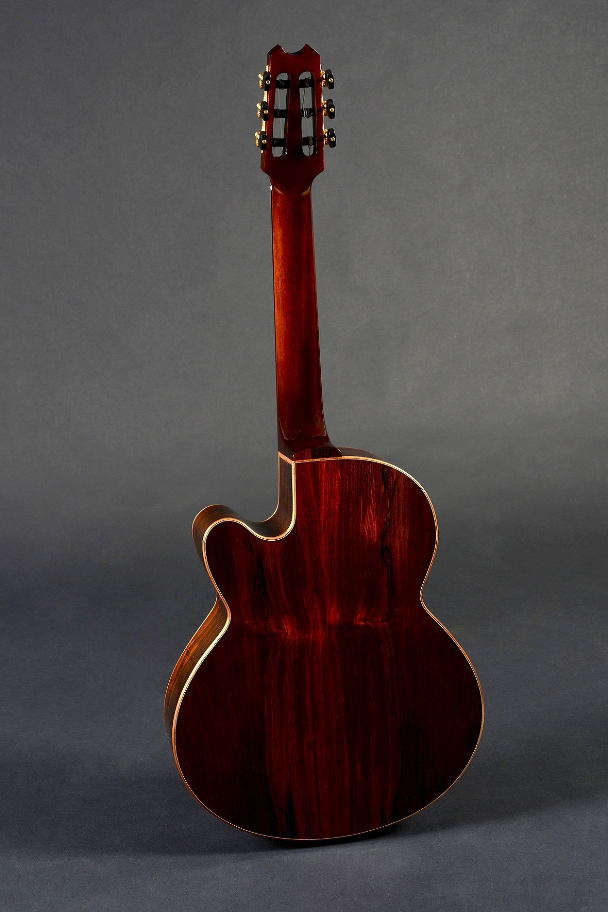 Mod&egrave;le Jazz Nylon Pan Coup&eacute; - alain-queguiner.com