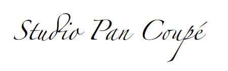 Mod&egrave;le Studio Pan Coup&eacute; - alain-queguiner.com